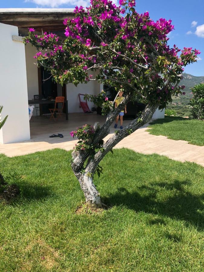 Villa Alba Esclusiva Villa Con Piscina A Sfioro E Vista Mozzafiato Sul Mare Cugnana Zewnętrze zdjęcie